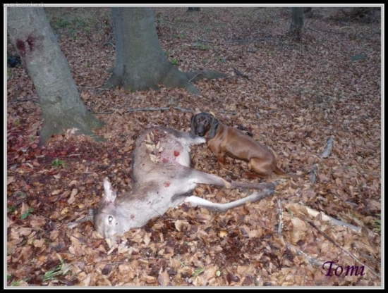 Môj úlovok a pomocníčka DONA