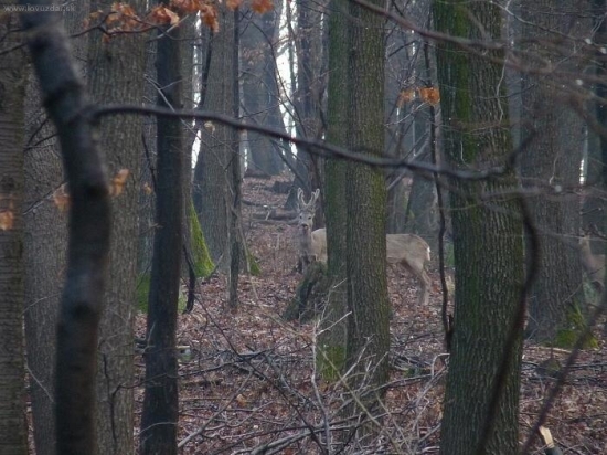 S tých lepších