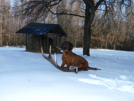 Konecne!!! 2kg,170 bodov