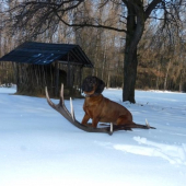 Konecne!!! 2kg,170 bodov