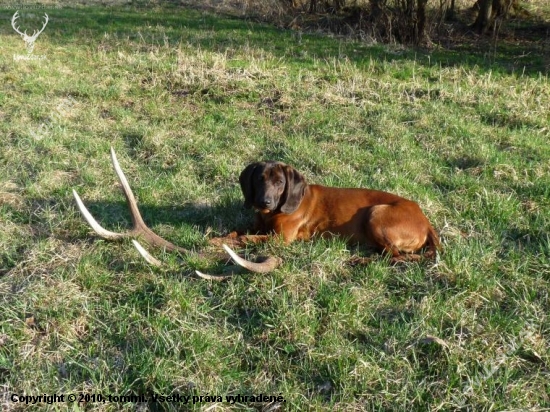 1,65kg , 1.4.2010