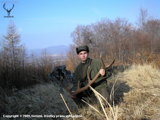 Zhodik 2008