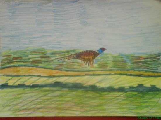 trocha zla kvalita fotky...