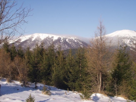 nízke tatry-kozý chrbát a prašivá-zima