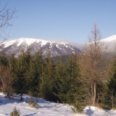 nízke tatry-kozý chrbát a prašivá-zima