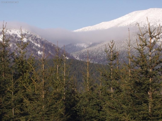 nízke tatry zima