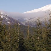 nízke tatry zima
