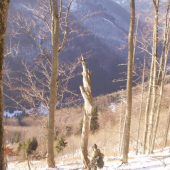 vysoko v horách nízkych tatier