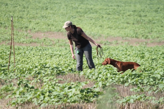 skočí...neskočí...