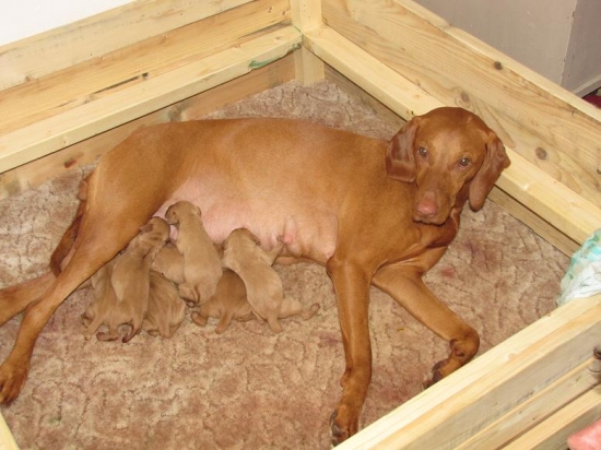 Mini je opäť tatino :-)