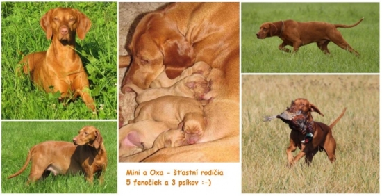 ešte jedna spoločná