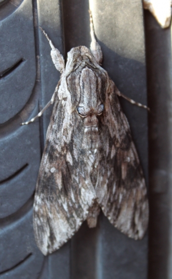 dnes ráno na pneumatike