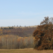 aj takto môže vyzerať služobka...