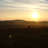 Bítov - ranný tréning