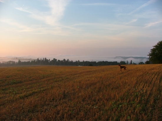 Bítov - ranný tréning 2