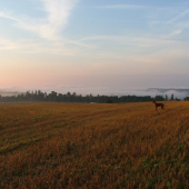 Bítov - ranný tréning 2
