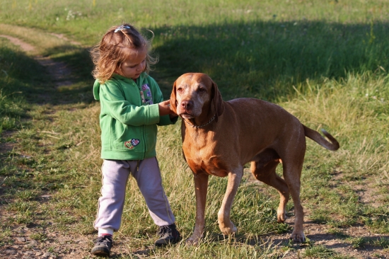 žeby nasledovníčka?