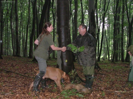 LSS-úspešná práca na pofarbenej stope srnčej zveri
