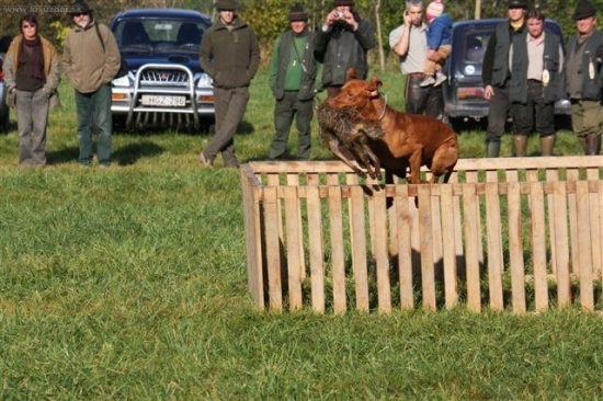 foto Maťo Pír, ohrádka na VSS v HU