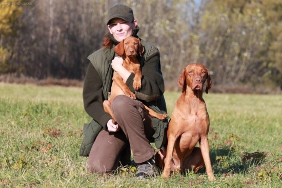 slniečkový novembrový dník