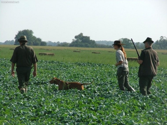 MJK-ustál to, jupí, naša najobávanejšia disciplína z pola