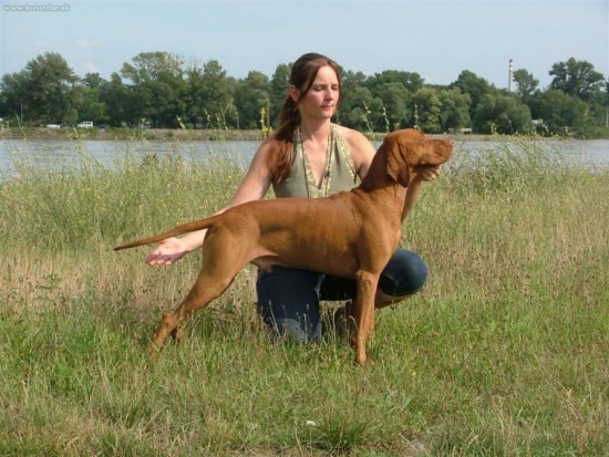 Výstava BA - CAC, res.CACIB, CH SR