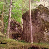 trojica