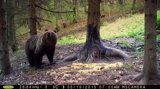 ...bude pršať či nie?