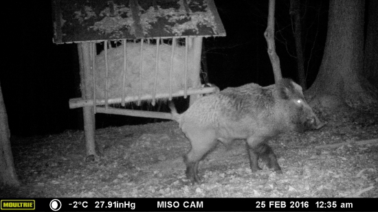 ruja mu dala zabrať