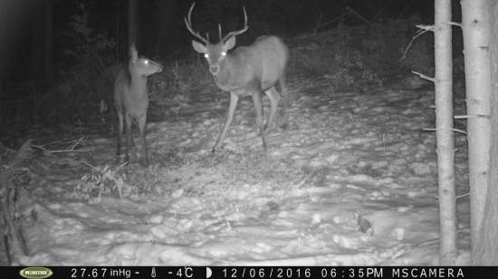 to čo máš na hlave?