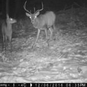 to čo máš na hlave?