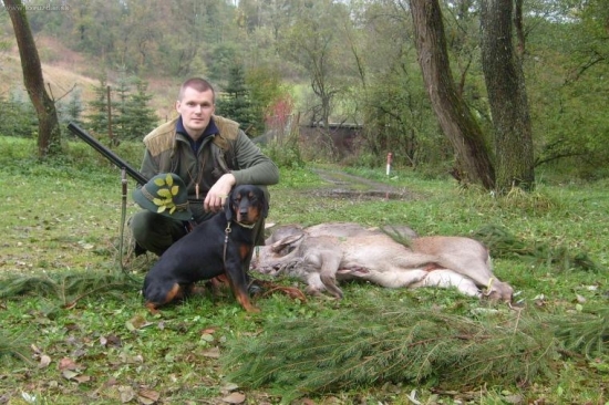 Fico Žičiho Pustatina PF II.cena 168b.