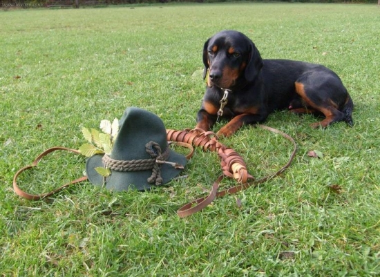 odloženie na skúškach