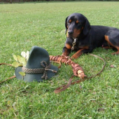 odloženie na skúškach