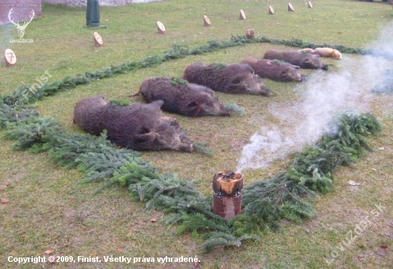 Výrad na skúškach duričov