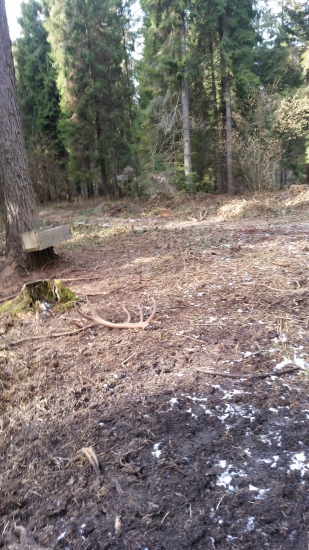 dnes sa postastilo prvy pohlad