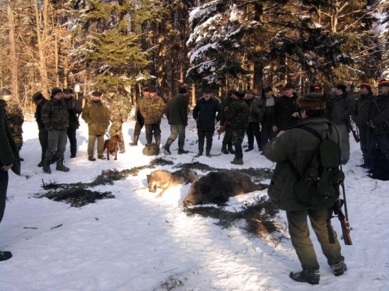 dnesna hostovska