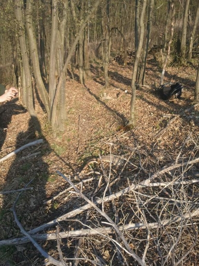 Daniel 182,77 cic.b takto tam ležali