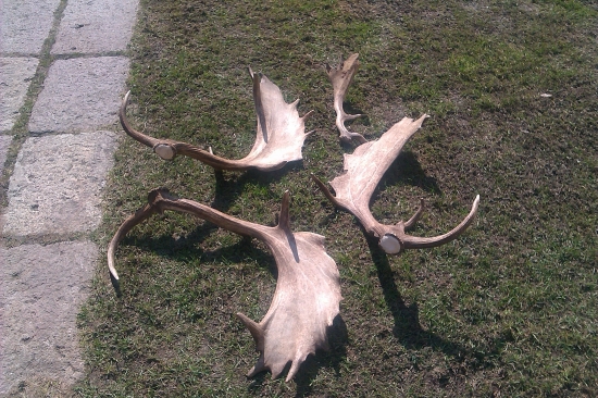 3hodinova prechadzka