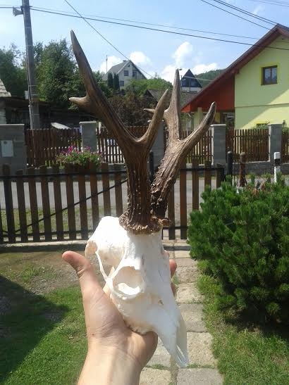 po úprave