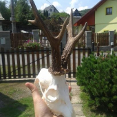 po úprave