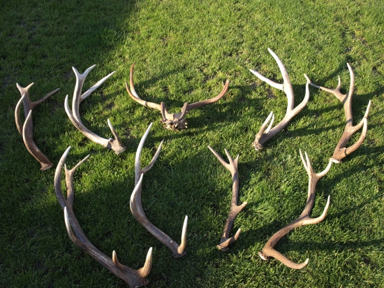 taka mala 2 rocna zbierka