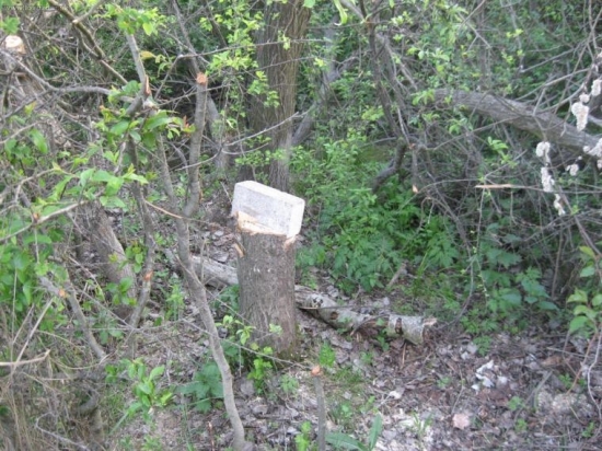 k posedu patri aj solnik