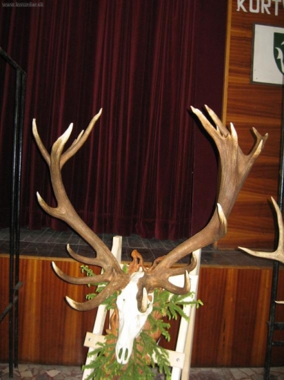 Pol. vystava v Hrusove