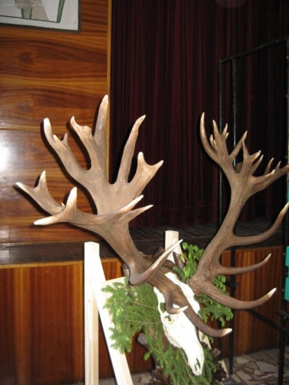 Pol. vystava v Hrusove