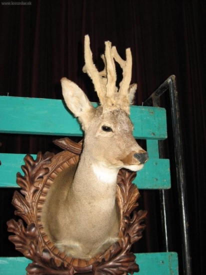 Pol. vystava v Hrusove