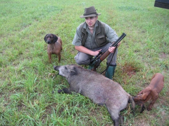 po daždi sa nechodi len na huby...:)