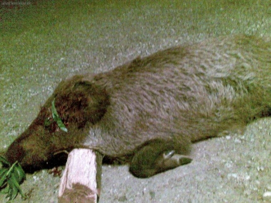 je v tom novy puskohlad abo nieco ine....? :)