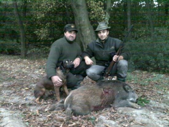 krásny ranný zážitok...