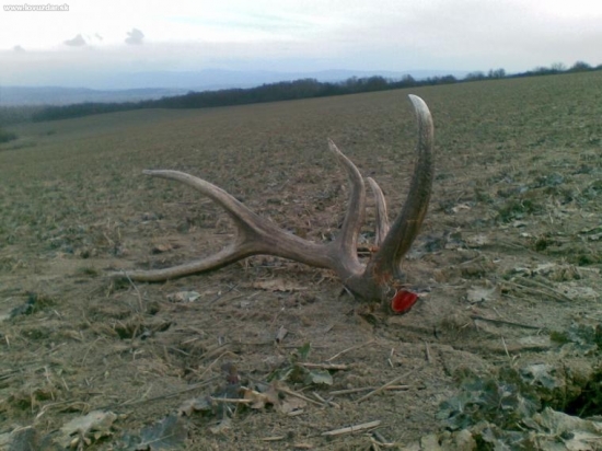 Takto ma čakal môj prvý zhod v živote